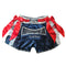 "UK" Muay Thai Shorts